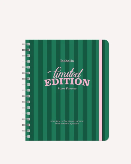 Planner Diário 2026