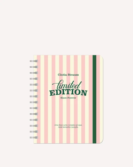 Mini Planner Diário 2026