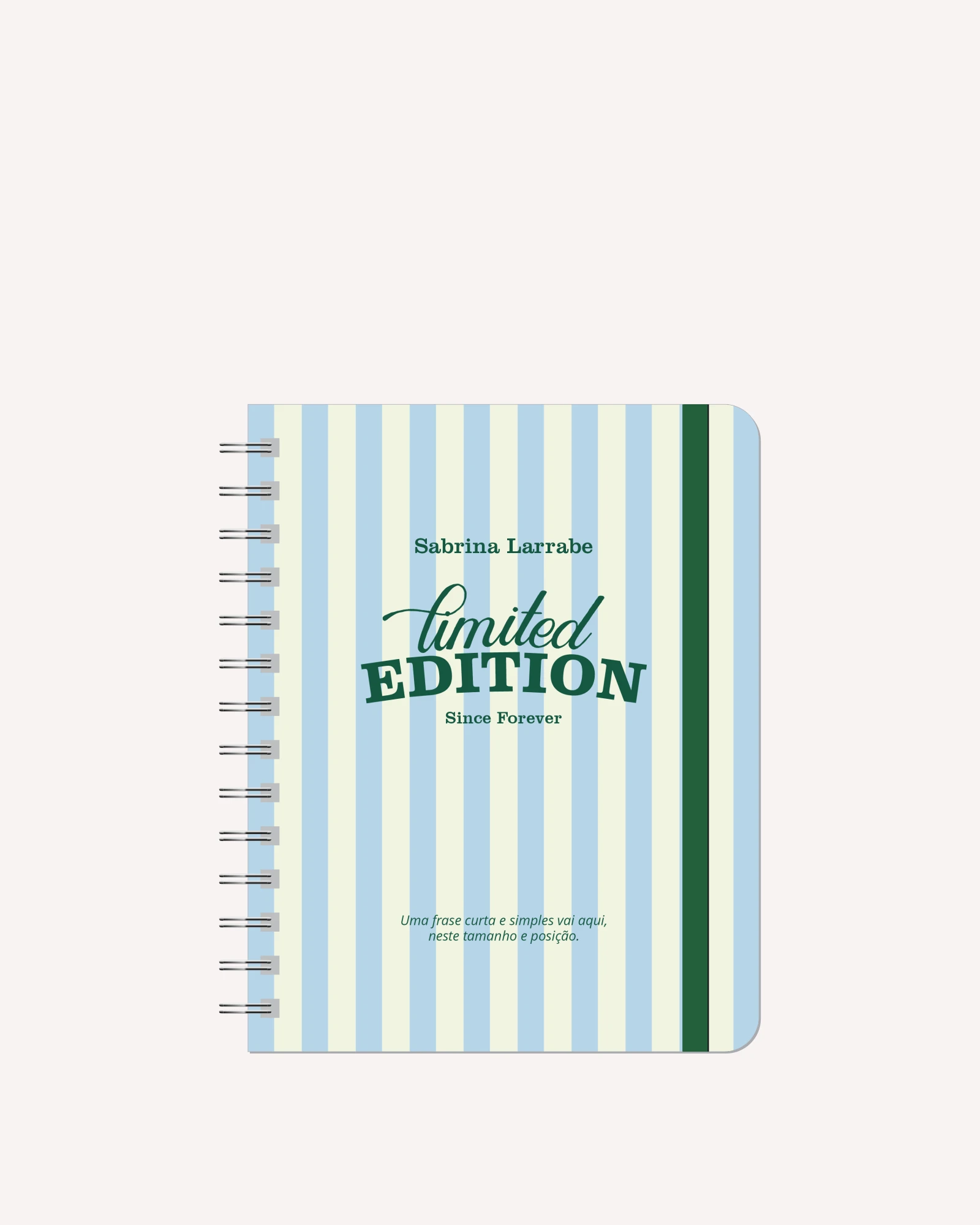 MKP-PLANNERDIARIOPERM26-000 Mini Planner Diário Permanente