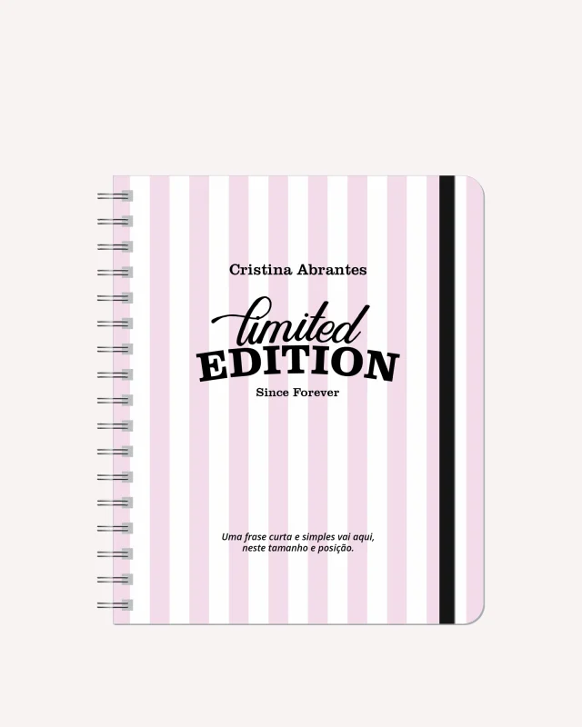 Planner Diário 2026 Semestral