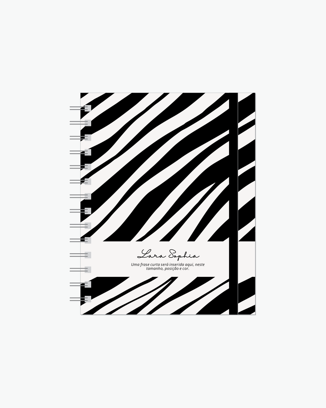 Safari Zebra
